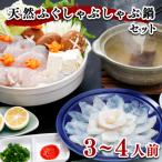 ふるさと納税 下関市 ヤマモ水産 天然ふぐしゃぶしゃぶ・鍋セット 3〜4人前 冷凍 海鮮鍋セット FR021-x