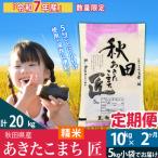 ふるさと納税 仙北市 【白米】令和7年産《定期便2ヶ月》あきたこまち 10kg 匠|02_snk-010602s