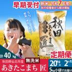 ふるさと納税 仙北市 【無洗米】R7年産 新米 早期受付《定期便2ヶ月》あきたこまち20kg|02_snk-030802s