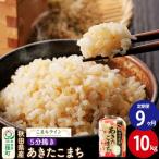 あきたこまち 10kg