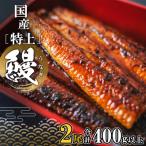 ふるさと納税 境町 国産 特上うなぎ 蒲焼き 2尾 (400g以上) 簡易袋 タレ 山椒付き