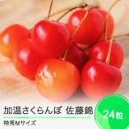 ふるさと納税 大石田
