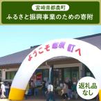 ふるさと納税 都農町 ≪返礼品なし≫宮崎県都農町のふるさと振興事業【1,000円】T000-007-01