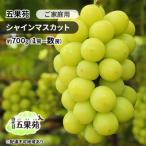 ぶどう 越冬ぶどう ご シャインマスカット 約700g