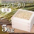 ふるさと納税 小松島市 【2週間発送】 玄米 コシヒカリ 5kg 栽培期間中無農薬 徳島 【北海道・沖縄・離島への配送不可】