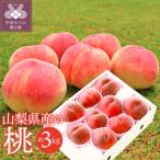 ふるさと納税 甲府市 〈2026年度先行受付〉山梨県産 桃 約3kg(8〜12玉)