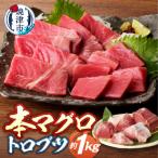 ふるさと納税 焼津市 本マグロ トロ ブツ 1kg(a15-674)