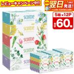 ふるさと納税 秋田市 スコッティ ティシュー フラワーボックス 250組 5箱×12パック|15_nsc-071201