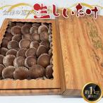 2026年秋発送 会津の恵み 生しいたけ1kg