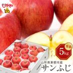 ふるさと納税 東根市 【令和7年産】りんご サンふじ 5kg(秀品) 東根市 hi027-206-2