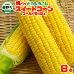 ショッピングとうもろこし ふるさと納税 田野町 四国一小さなまちのとうもろこし★令和6年5月末発送開始予定★スイートコーン(ゴールドラッシュ) 8本