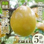 ふるさと納税 境港市 王秋梨(5-14玉/5kg)【11月上旬-12月下旬発送予定】