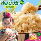 ふるさと納税 砂川市 米 令和7年 ゆめぴりか 玄米 30kg [JA新すながわ 砂川市 12260853]