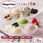 ふるさと納税 浜中町 ハーゲンダッツ『定番ミニカップ5種セット(合計6個)』アイスクリーム_H0016-015