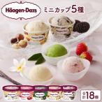 ふるさと納税 浜中町 ハーゲンダッツ『定番ミニカップ5種セット(合計18個)』アイスクリーム_H0016-016