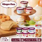ふるさと納税 浜中町 ハーゲンダッツ『ミニカップ(6個)&クリスピーサンド(6個)』アイスクリーム_H0016-035