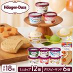 ふるさと納税 浜中町 ハーゲンダッツ『ミニカップ(12個)&クリスピーサンド(6個)』アイスクリーム_H0016-037