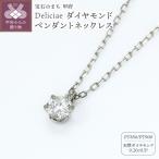 一粒ペンダントネックレス6本爪Pt900天然ダイヤモンド