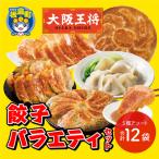 ふるさと納税 板倉町 大阪王将 餃子バラエティセット(5種アソート)計12袋|13_nnb-070101