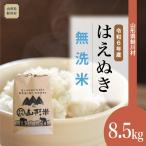 ショッピングふるさと納税 米 ふるさと納税 鮭川村 ＜6年産米早期受付＞令和7年3月中旬発送　はえぬき 【無洗米】 8.5kg(8.5kg×1袋)