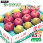 ふじりんご ラ フランス 詰合せ 5kg
