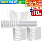 ふるさと納税 秋田市 《4回定期便》ティッシュペーパー スコッティ10箱 5箱×2P|15_nsc-050204