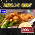 ふるさと納税 下関市 天然ふぐ唐揚1kg(500gx2/個別凍結) 〜しものせき食彩工房〜 下関 山口 HK9005-x