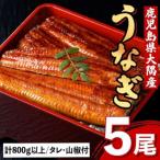 ふるさと納税 肝付町  うなぎ蒲焼・大(有頭)(5尾・計800g以上、タレ、山椒付)  　C57003