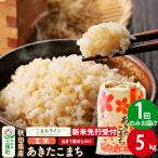 新米 あきたこまち 一等米 5kg