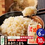 新米 あきたこまち 一等米 10kg