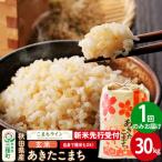 新米 あきたこまち 一等米 30kg
