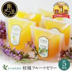 柑橘フルーツゼリー 詰め合わせ 5種