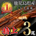 ふるさと納税 曽於市 無投薬!鹿児島県産うなぎ蒲焼セット <特上>(約160g以上×3尾)タレ・山椒付き