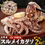 ふるさと納税 石巻市 【3月配送 】訳あり 石巻産スルメイカゲソ 2kg 冷凍 国産 いか おつまみ ゲソ天 石巻市
