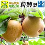 梨 新高 にいたか 3.5kg