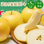 ふるさと納税 平川市 年内発送 【訳あり】家庭用 トキ 約5kg【那由多のりんご園・平川市産】