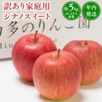 ふるさと納税 平川市 年内発送 【訳あり】家庭用 シナノスイート 約5kg【那由多のりんご園・平川市産】
