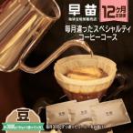 焙煎珈琲豆 ★12か月定期便★毎月違ったコーヒー 計12種