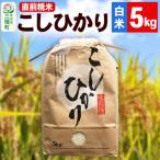 こしひかり 5kg