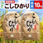 こしひかり 10kg