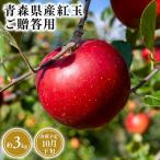 りんご 金星 約3kg
