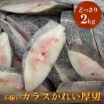 ふるさと納税 石巻市 不揃い 訳ありカラスかれい厚切( どっさり 2kg )カレイ 冷凍 おかず 切身 煮魚 焼き魚