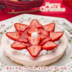 クリスマスケーキ 季節のフルーツレア チーズケーキ