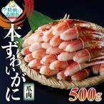 ふるさと納税 陸前高田市 ボイル本ずわいがに 爪肉 500g (250g×2パック)《便利な小分けパック》