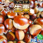 とっても大きい プレミア生栗4Lサイズ 1キロ