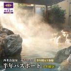 西米良温泉 ゆた~と 半年パスポート 温泉