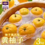柚子風呂用 黄柚子柚子 ユズ ゆず 黄柚子 柑橘