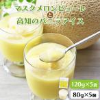 ふるさと納税 香南市 マスクメロンピューレと高知のバニラアイス 5個セット tn-0021