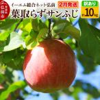 ふるさと納税 弘前市 【26年2月発送】りんご【訳あり】葉取らずサンふじ 約10kg|24_ems-031001d