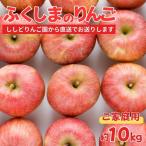 ふるさと納税 福島市 ししどりんご園 りんご「サンふじ」家庭用 約10kg箱入【2025年度発送】 No.2965